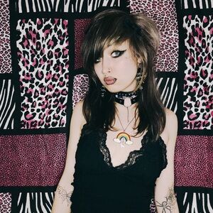 Meet your Posher, Kitty